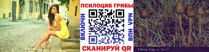 где продают наркотики  Бородино  Псилоцибиновые грибы Magic Shrooms 